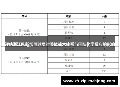 评估浙江队新加盟球员对整体战术体系与团队化学反应的影响